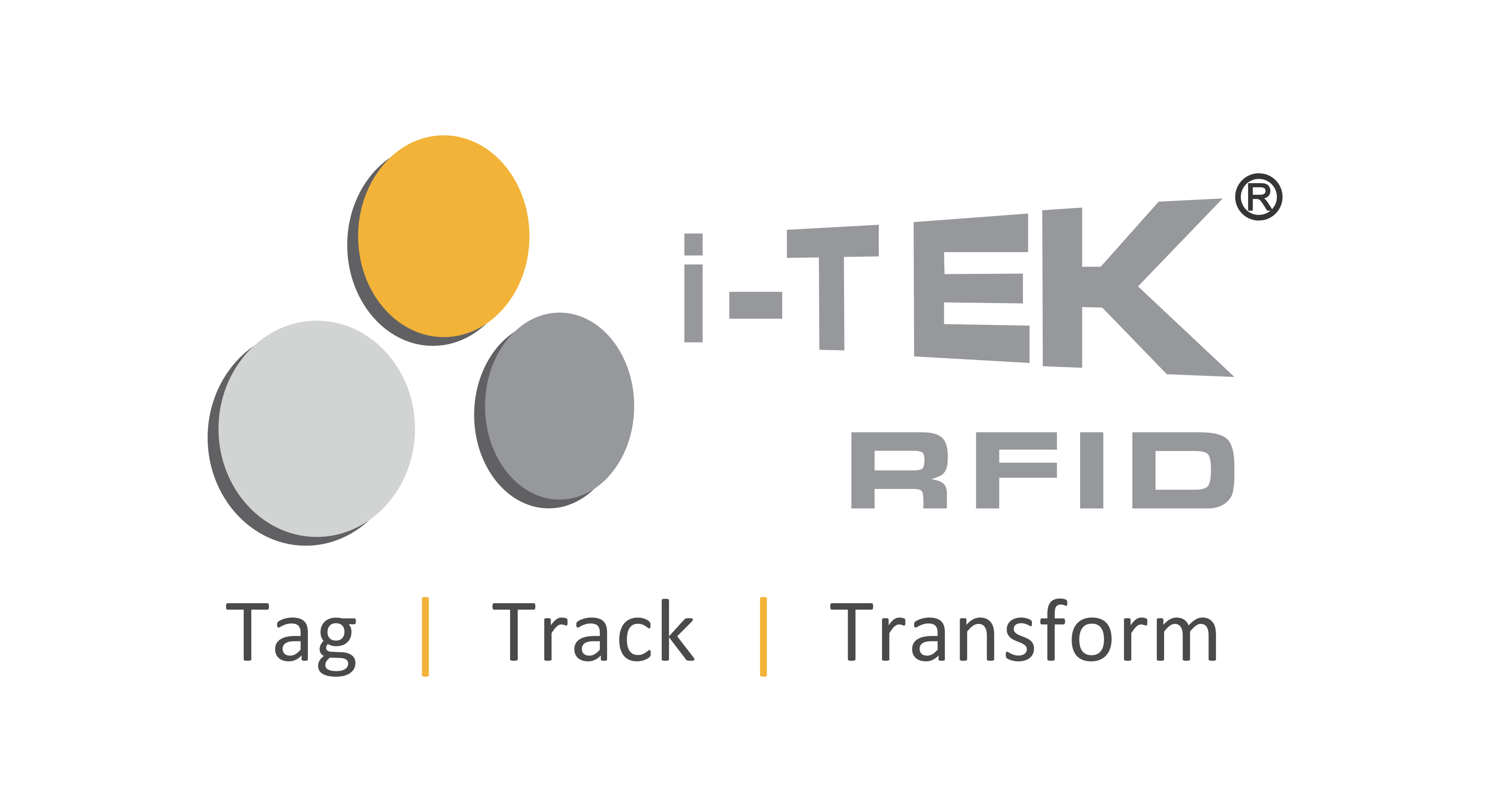 Client Logo 4
